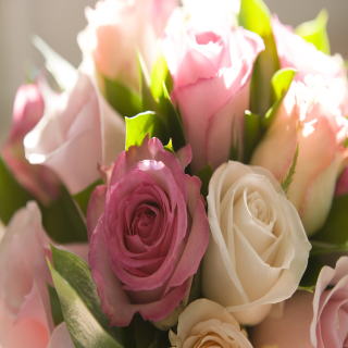 事故物件お祓い実績